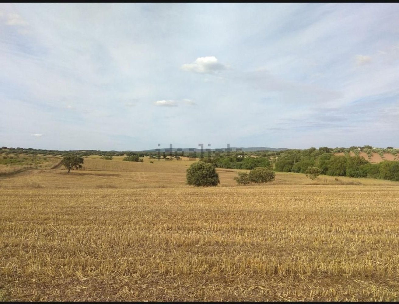  Land in Vimieiro, Portugal No. 298311