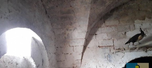 6 غرف نوم منزل في San Vito dei Normanni, Italy رقم 230262 7