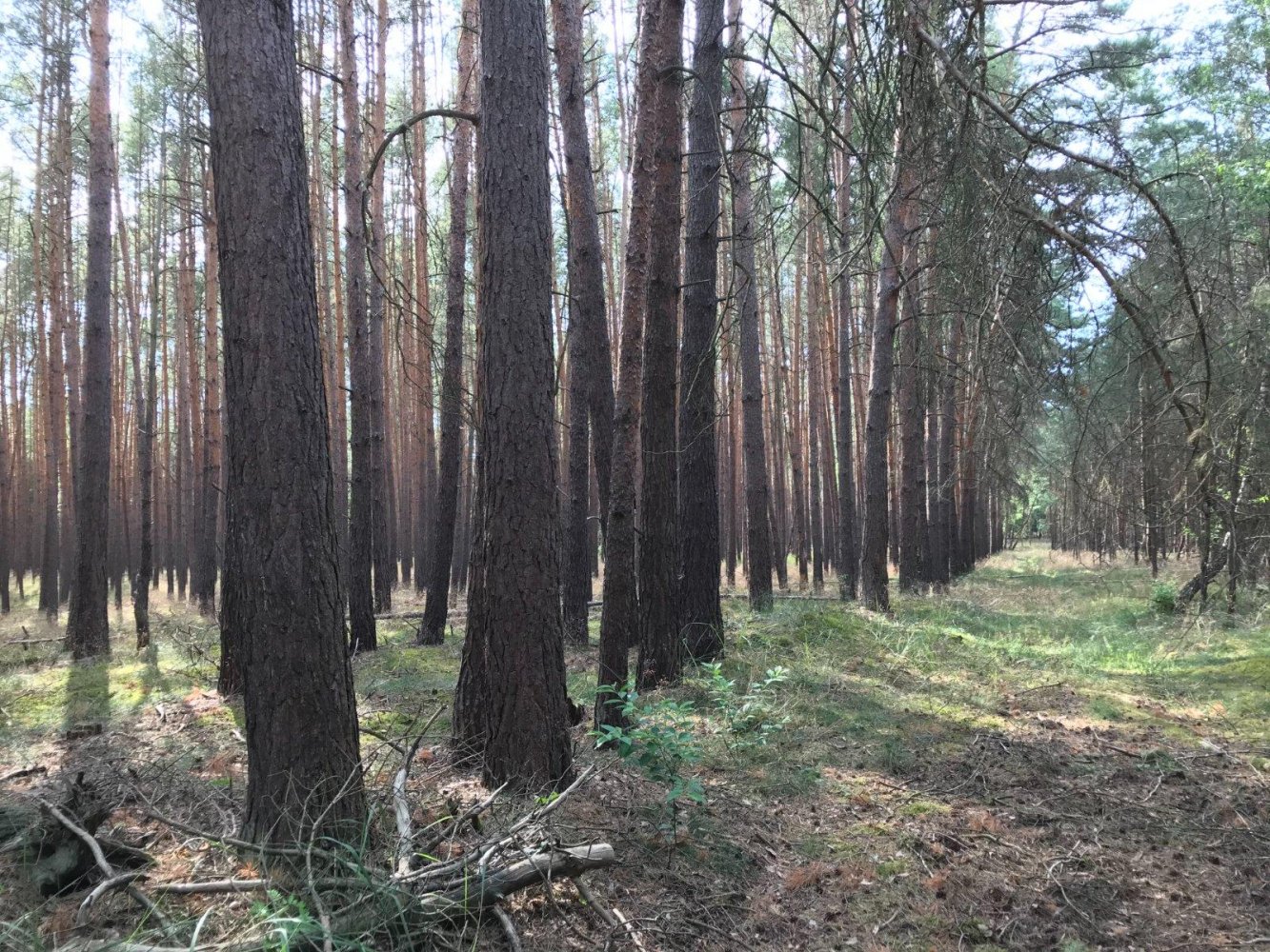 Terreno em Magdeburg, Germany N.º 258212