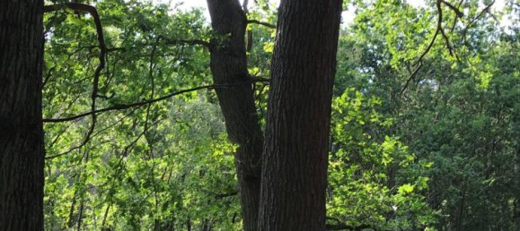 Terreno em Magdeburg, Germany N.º 258212 5