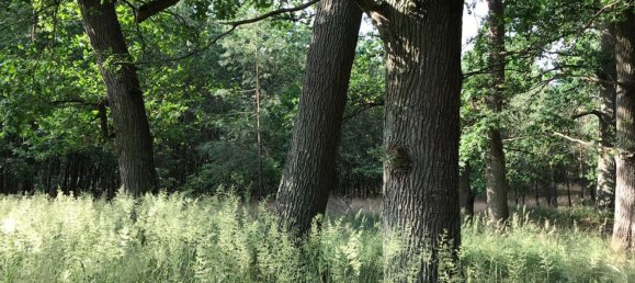 Terreno em Magdeburg, Germany N.º 258212 4