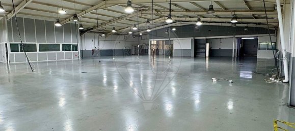 Lagerhaus in Barcelos, Portugal 1110m², Nr. 44463 20