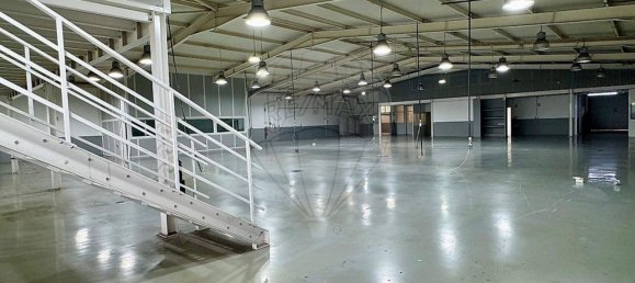 Lagerhaus in Barcelos, Portugal 1110m², Nr. 44463 19