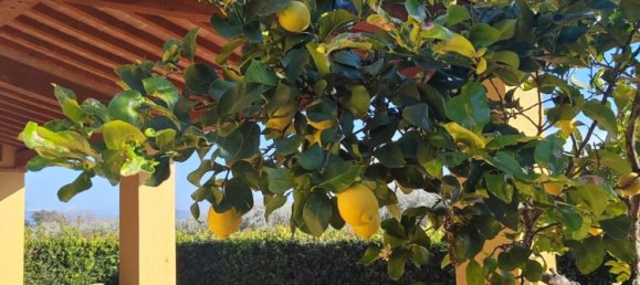 6-Zimmer Villa in Castiglione della Pescaia, Italy, Nr. 113959 3