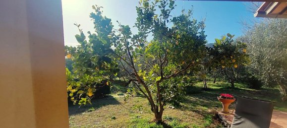 6-Zimmer Villa in Castiglione della Pescaia, Italy, Nr. 113959 27