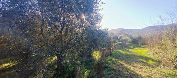 6-Zimmer Villa in Castiglione della Pescaia, Italy, Nr. 113959 21