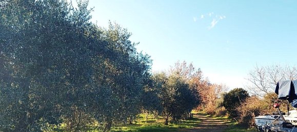 6-Zimmer Villa in Castiglione della Pescaia, Italy, Nr. 113959 22