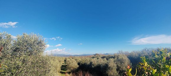 6-Zimmer Villa in Castiglione della Pescaia, Italy, Nr. 113959 23