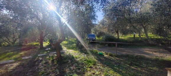 6-Zimmer Villa in Castiglione della Pescaia, Italy, Nr. 113959 9