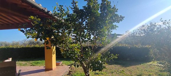 6-Zimmer Villa in Castiglione della Pescaia, Italy, Nr. 113959 7