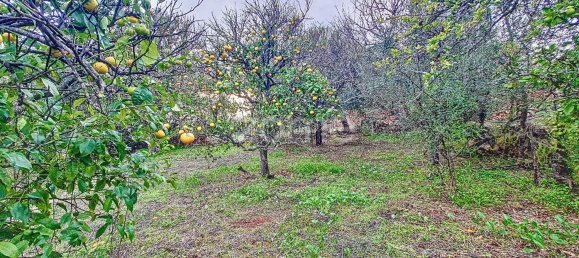 Casa de 2 dormitorios en Sao Bartolomeu de Messines, Portugal No. 59932 42