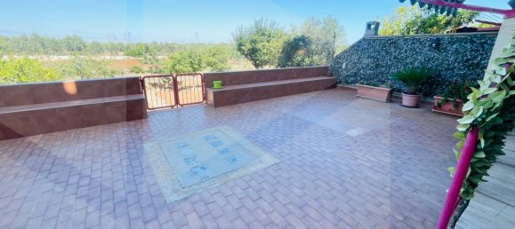 4-Zimmer Wohnung in Valenzano, Italy, Nr. 28533 3