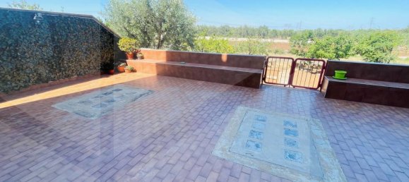 4-Zimmer Wohnung in Valenzano, Italy, Nr. 28533 2