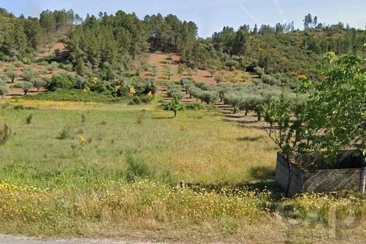  Land in Mirandela, Portugal No. 195230