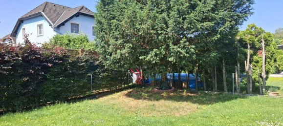 Adosado de 4 habitaciónes en Guntramsdorf, Austria No. 254901 7