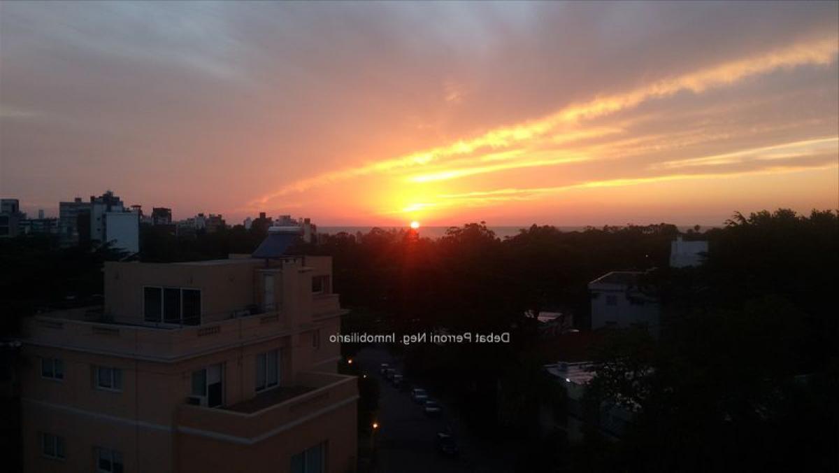 Apartamento de 3 dormitorios en Montevideo, Uruguay No. 1161