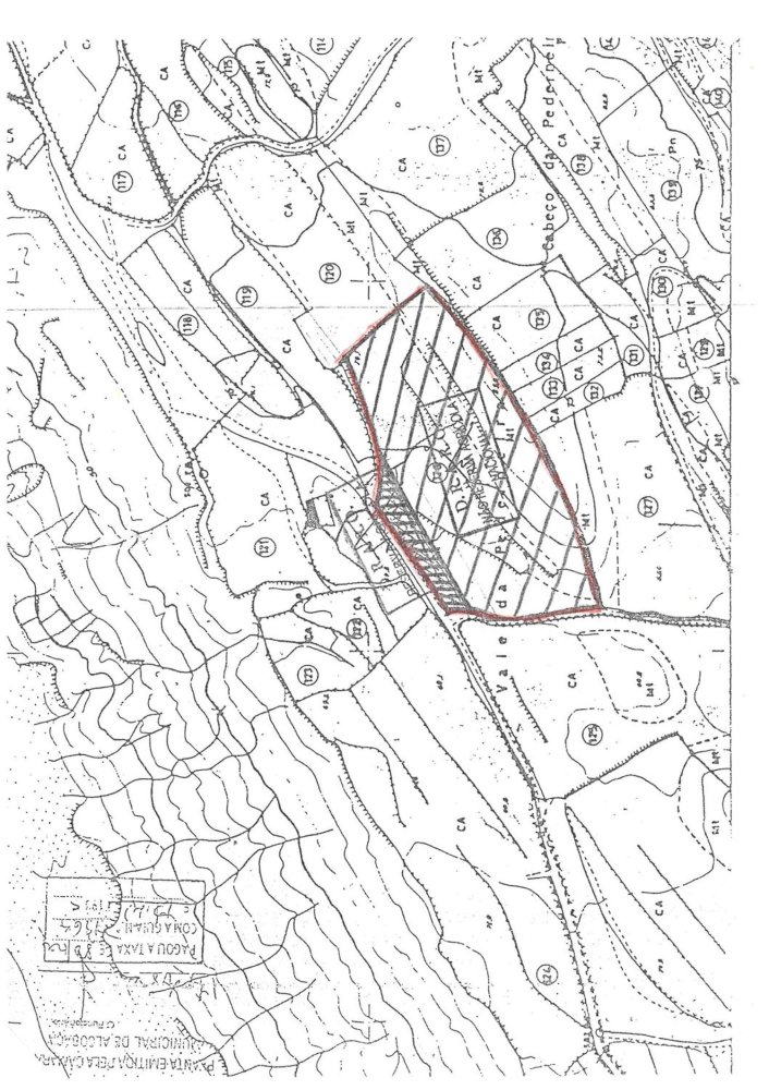 Land in Sao Martinho do Porto, Portugal No. 309139