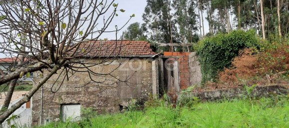 2 bedrooms House in Penafiel, Portugal No. 32938 5