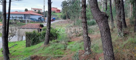 2 bedrooms House in Penafiel, Portugal No. 32938 10