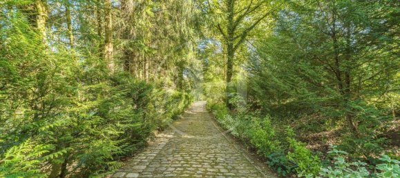 Castelos T8 em Plappeville, France N.º 59513 22