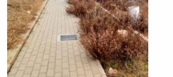 Земельный участок 500м² в Кастелларано, Италия № 300197 11