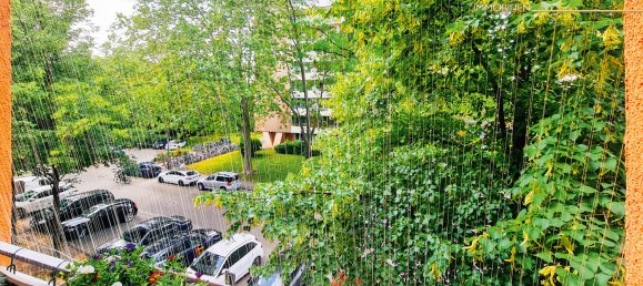 Estudio en Freiburg im Breisgau, Germany No. 58786 12