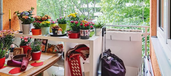 Estudio en Freiburg im Breisgau, Germany No. 58786 13