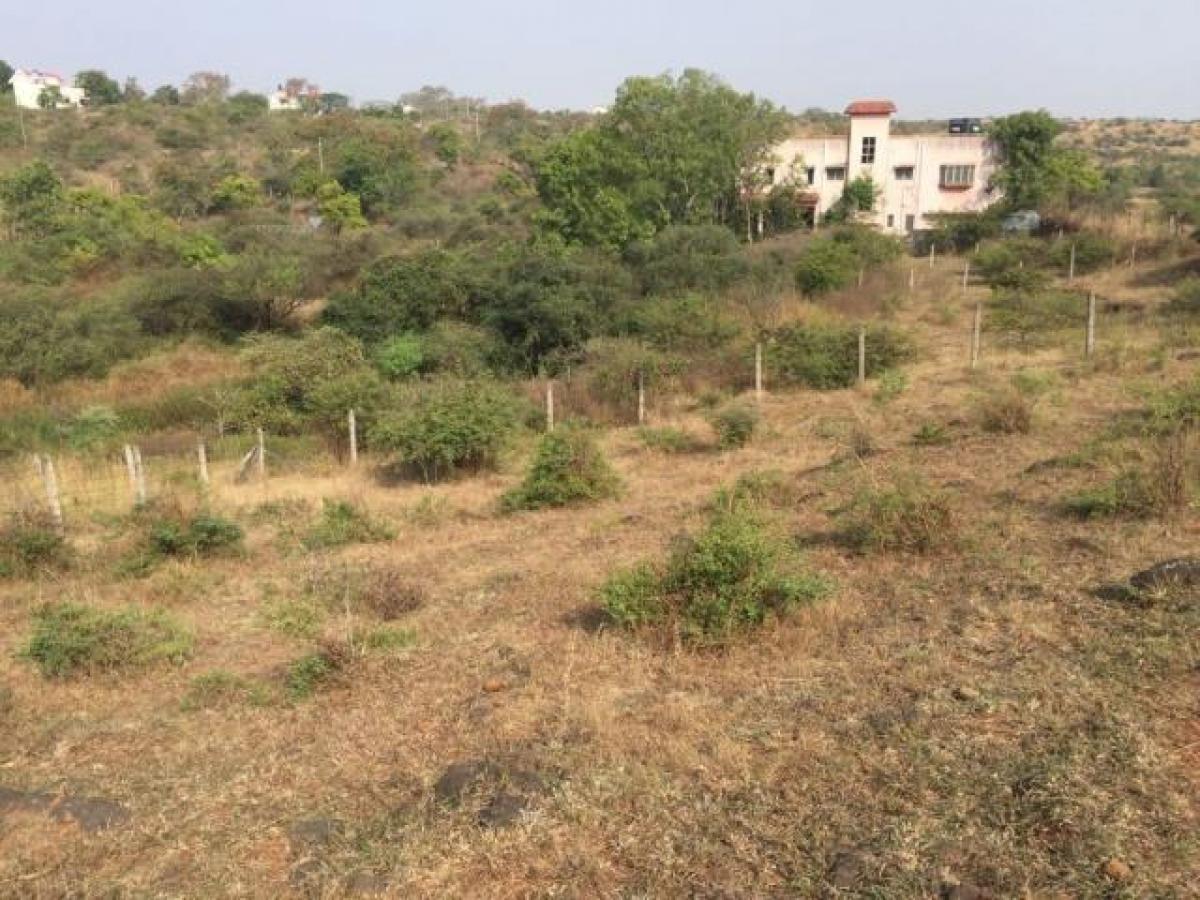 Terrain à Pune, India No. 32204