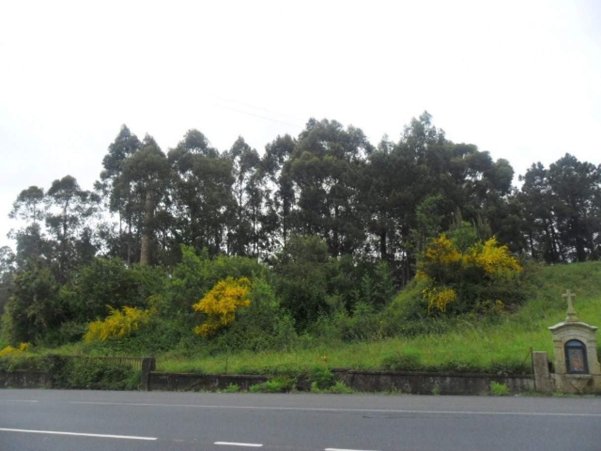 9000m² Land in Vila Nova de Cerveira, Portugal No. 93772