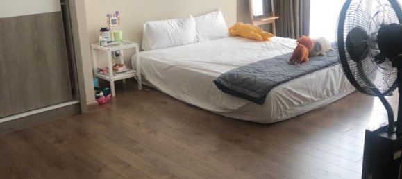 4 غرف نوم شقة في Binh Thanh, Vietnam رقم 18250 10