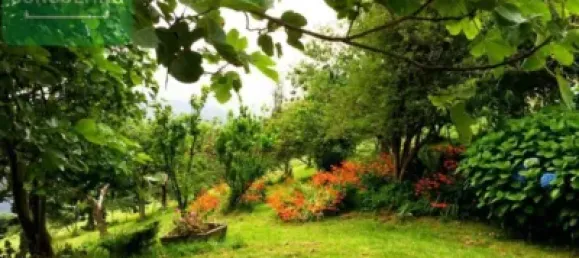 Adosado de 3 dormitorios en Asturias, Spain No. 167887 45