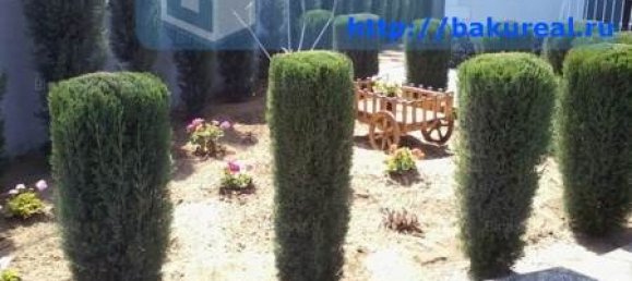 4 Schlafzimmer Haus in Chasar, Azerbaijan, Nr. 981 3