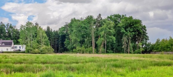 Gewerbliche Immobilie in Premstätten, Austria 25640m², Nr. 131638 3