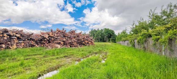 Gewerbliche Immobilie in Premstätten, Austria 25640m², Nr. 131638 4