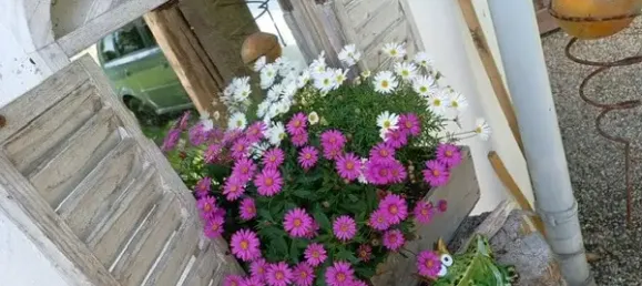 Grundstück in Augsburg, Germany, Nr. 52827 9