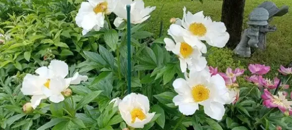 Grundstück in Augsburg, Germany, Nr. 52827 10