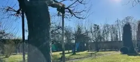 Grundstück in Augsburg, Germany, Nr. 52827 4