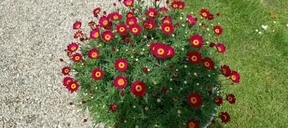 Grundstück in Augsburg, Germany, Nr. 52827 12