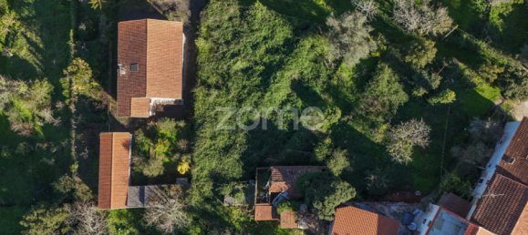 4 Schlafzimmer Haus in Coimbra, Portugal, Nr. 148375 38