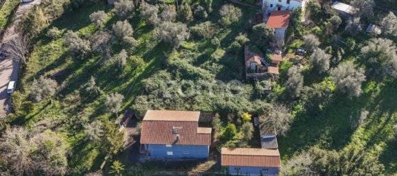 4 Schlafzimmer Haus in Coimbra, Portugal, Nr. 148375 42