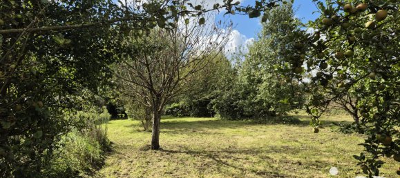 5 bedrooms House in Rumegies, France No. 244741 14