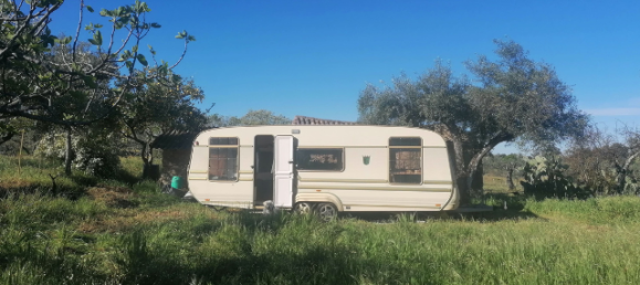  قطعة أرض في Orca, Portugal رقم 250202 6