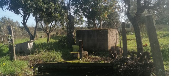  قطعة أرض في Orca, Portugal رقم 250202 13