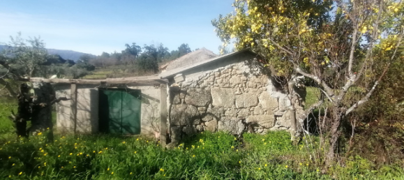  قطعة أرض في Orca, Portugal رقم 250202 12