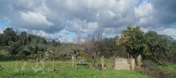  قطعة أرض في Orca, Portugal رقم 250202 2