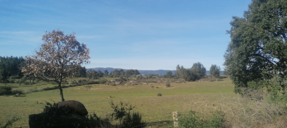  قطعة أرض في Orca, Portugal رقم 250202 14