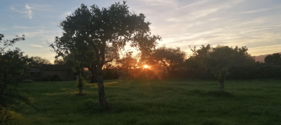  قطعة أرض في Orca, Portugal رقم 250202 7