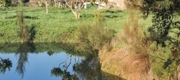  قطعة أرض في Orca, Portugal رقم 250202 5