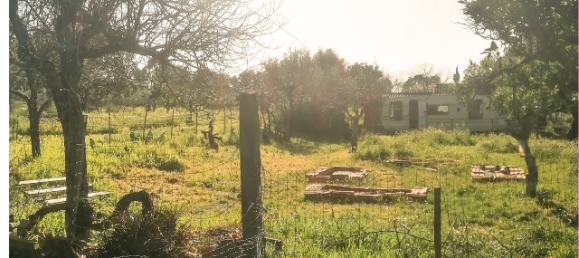  قطعة أرض في Orca, Portugal رقم 250202 10