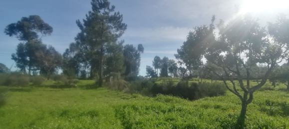  قطعة أرض في Orca, Portugal رقم 250202 4